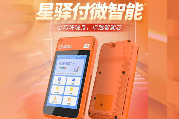 灵台国通微电签POS机